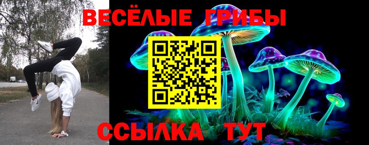 Галлюциногенные грибы Psilocybe  Вход с VPN  Мурманск 