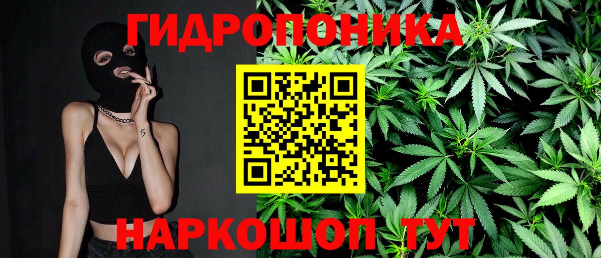 Конопля планчик  Канабис индика  МАРИХУАНА индика  МАРИХУАНА тримм  Вход с VPN  Мурманск 